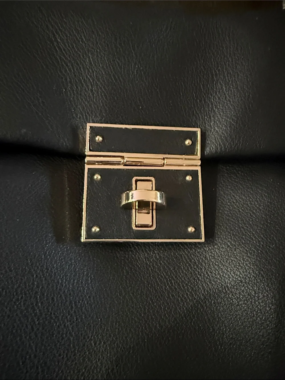 Claudia Classic Viral Black Leather Tote Bag with Gold Hardware